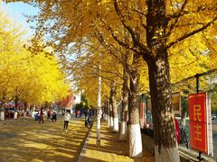 -辽宁大学(崇山校区)