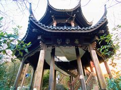 -杭州半山国家森林公园