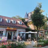 美食什么都有四季广场的花海是真的漂亮