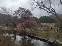 -白马涧龙池景区