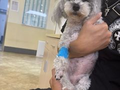 -美联众合动物医院·24h转诊中心
