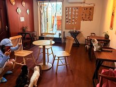 -楼上猫咖(罗湖店)