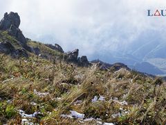 -白草畔自然风景区