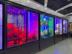 -游龙石文化科普馆