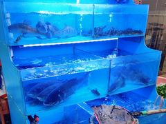 -韩妹鱼庄·泸定老字号(泸定店)