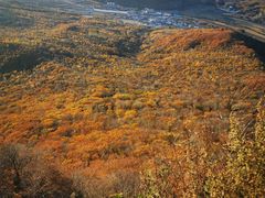 -帽儿山风景区
