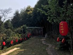-象头山国家级自然保护区