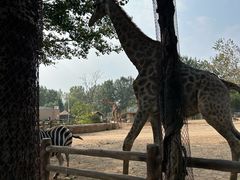 -大连森林动物园