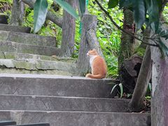 -九皇山景区