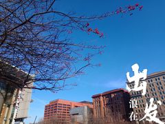 -美国独立纪念馆