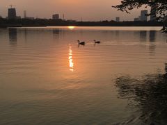 -海珠湖公园