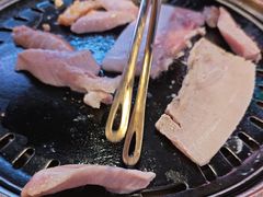-杨小佳·齐齐哈尔烤肉·烤串(广州店)