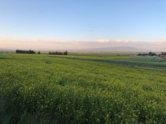 -扁都口生态休闲旅游区