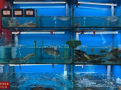 -老村长土菜馆(湖墅南路店)