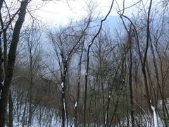 iphone_upload_pic-塔云山