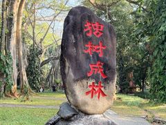 -瑞丽独树成林风景区