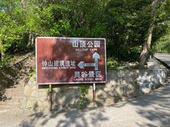 -紫金山山顶公园