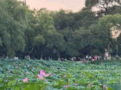 -北陵公园
