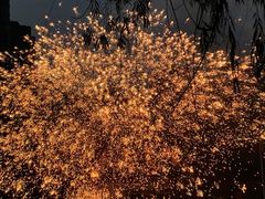 -海合安武汉极地海洋公园