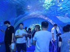 -泉城欧乐堡海洋极地世界