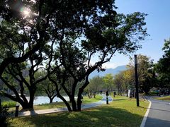 -四海公园(南山区)