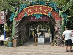 -独树成林