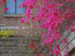 -平安（深圳）金融教育培训中心