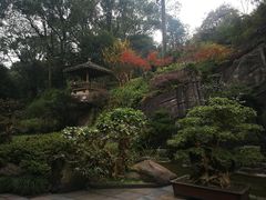 -南山植物园