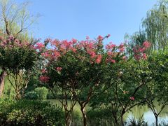 -圩墩遗址公园