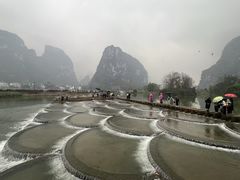 -明仕田园
