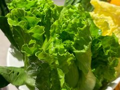 -潮发潮汕牛肉店(东方宝泰店)