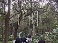 -云龙山