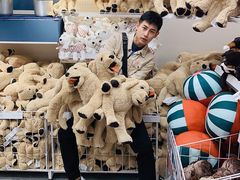 -宜家家居(哈尔滨商场店)