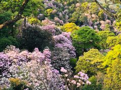 -梧桐山风景名胜区