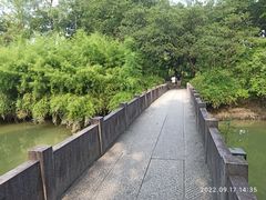 -西溪国家湿地公园