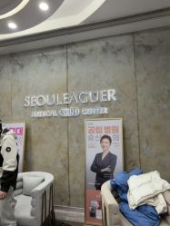 -上海首尔丽格医疗美容医院