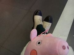 -PAWTOY爪e玩偶店(天兴罗斯福店)