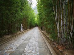 -蝴蝶泉公园