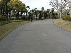 -黄兴公园