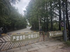 -东白山