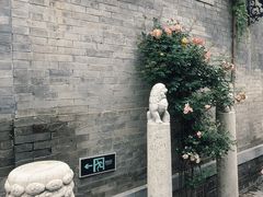 -宛平九号