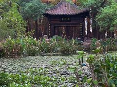 -东湖落雁景区