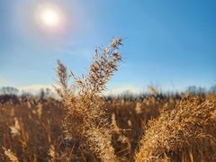 -野鸭湖国家湿地公园