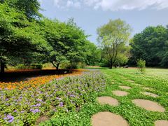 -黑龙江省森林植物园