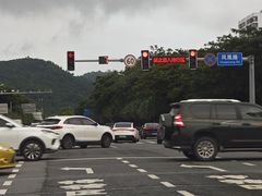 -刘文祥麻辣烫(金鸡岭店)