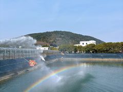 -苏州太湖西山岛开心农场