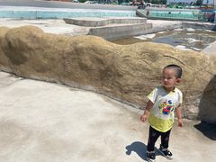 -秦皇岛乐岛海洋王国