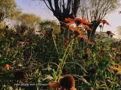 -汉长安城未央宫国家考古遗址公园