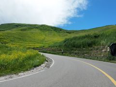 -新疆那拉提国家旅游度假区