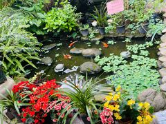 -园林美食城·本土农家菜(杨和镇店)